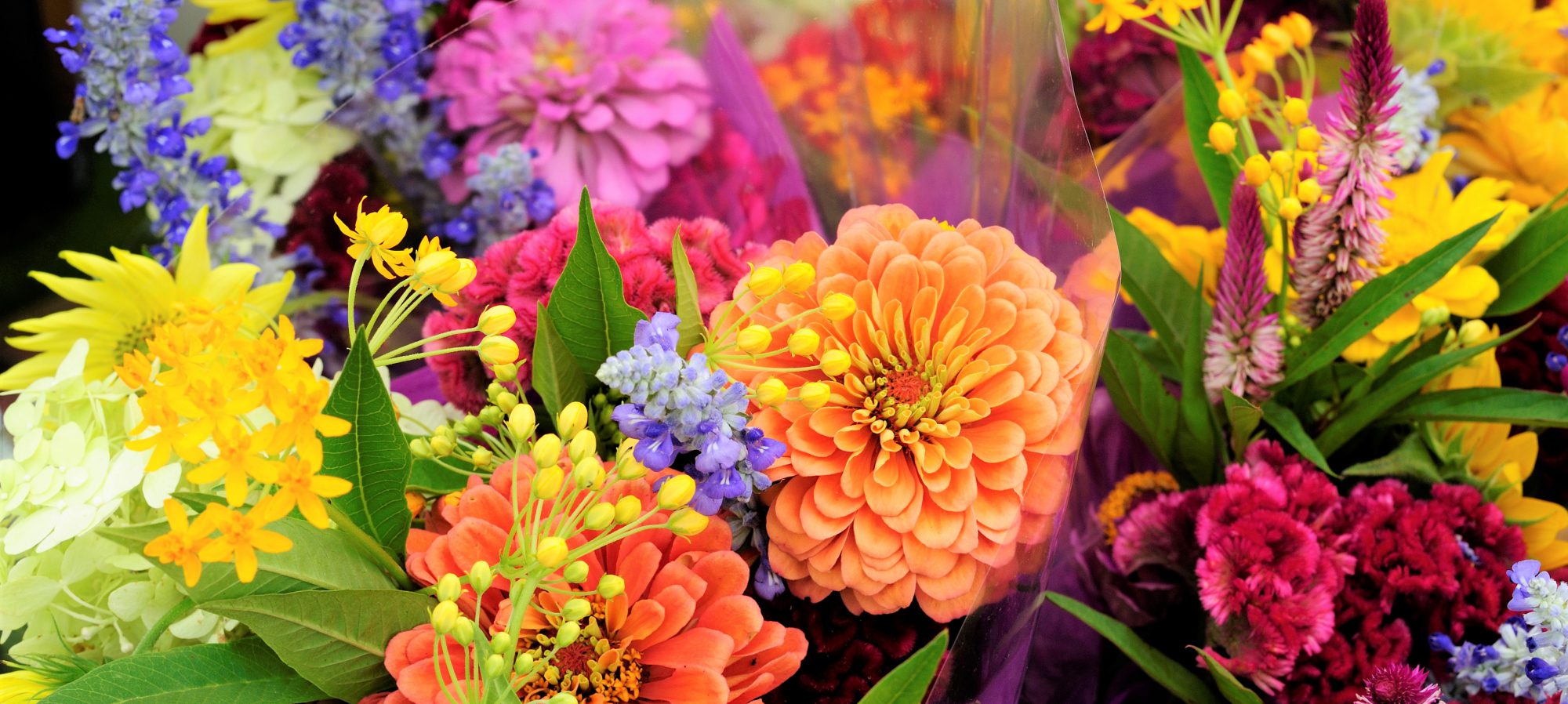 Brightly colored flowers wrapped in lavender tissue for roadside flower stand. 